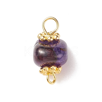 Natural Agate Dyed Beads Link Connectors PALLOY-JF00890-03-1