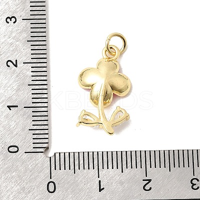 Brass Pave Clear Cubic Zirconia Pendants X-KK-G554-05G-03-1