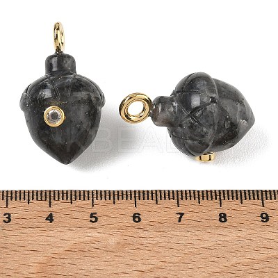 Natural Larvikite Pendants GG-CBA105B-04K-G-1