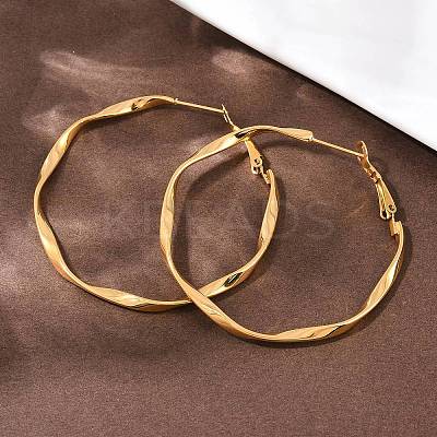 304 Stainless Steel Hoop Earrings EJEW-I320-25G-02-1