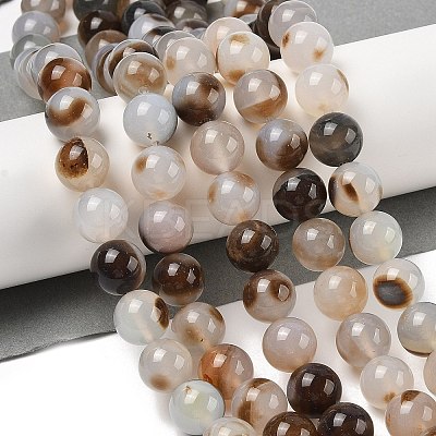 Natural Dendritic Agate Beads Strands G-A248-A07-03-1