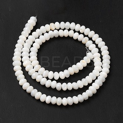Natural Freshwater Shell Beads Strands BSHE-E026-15A-02-1
