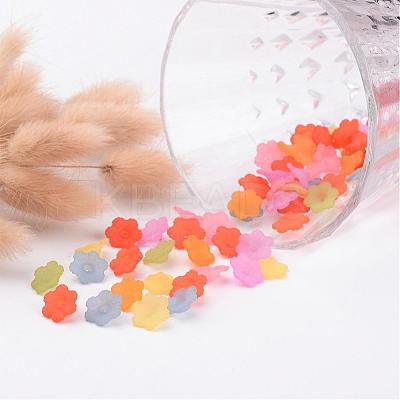 Mixed Color Transparent Frosted Acrylic Flower Bead Caps X-PL561M-1