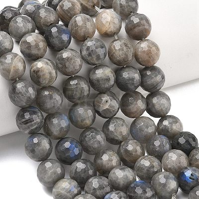 Natural Labradorite Beads Strands G-L642-F07-12mm-1