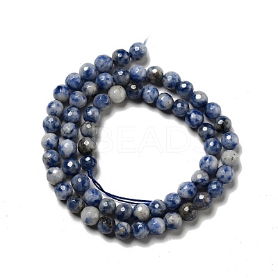 Natural Blue Spot Jasper Beads Strands G-P476-01B-02-1