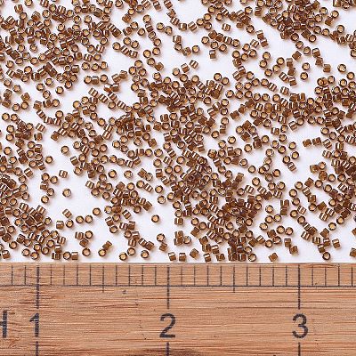 MIYUKI Delica Beads X-SEED-J020-DB1891-1