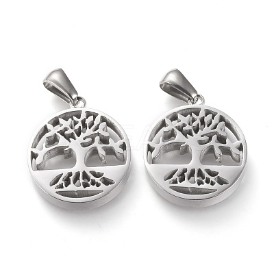 Non-Tarnish 304 Stainless Steel Pendants STAS-F253-14P-1