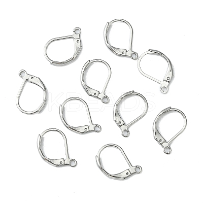 Tarnish Resistant 304 Stainless Steel Leverback Earring Findings LS-STAS-S028-07-1