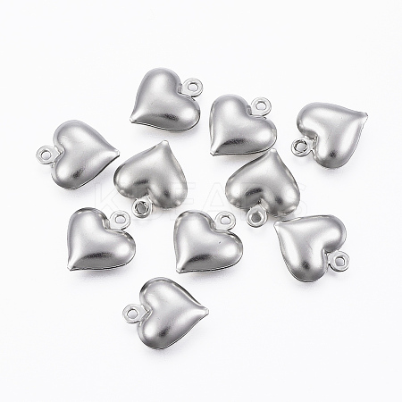 Non-Tarnish 304 Stainless Steel Charms LS-X-STAS-H413-16P-1