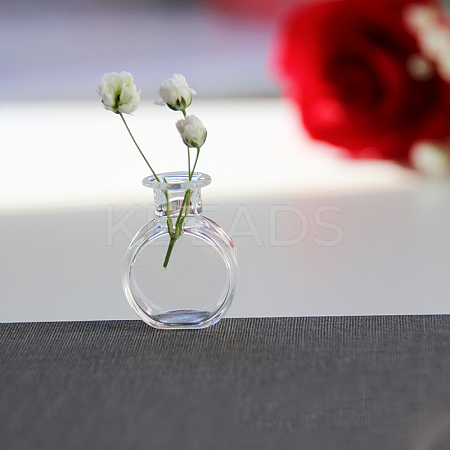 Transparent Miniature Glass Vase Bottles BOTT-PW0006-04E-1