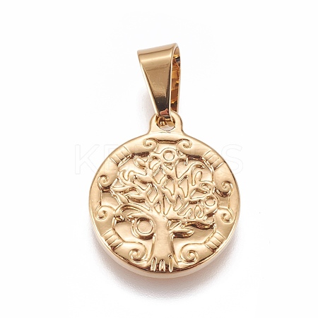 304 Stainless Steel Pendants STAS-L222-05G-1