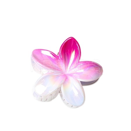 Resin Claw Hair Clips LS-PW-WG93676-03-1