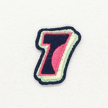 Computerized Embroidery Cloth Iron on/Sew on Patches DIY-K012-03-S1003-1-1
