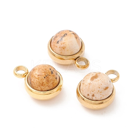 Natural Picture Jasper Charms G-K325-01G-06-1