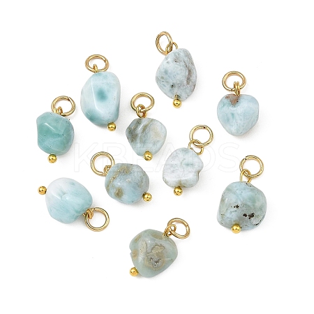 Natural Larimar Pendants PALLOY-JF05952-1