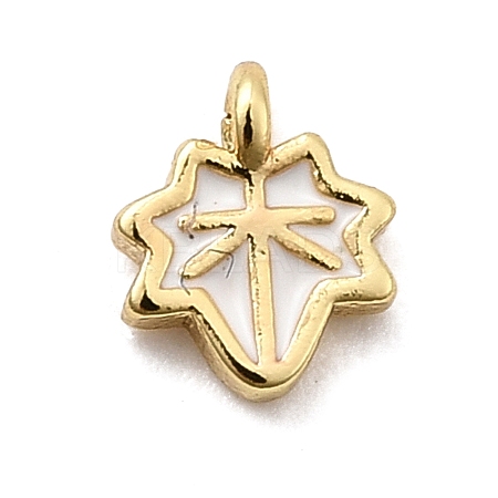Brass Enamel Charms KK-P338-30G-03-1