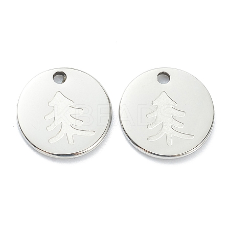 Non-Tarnish 304 Stainless Steel Charms LS-STAS-P280-13P-1