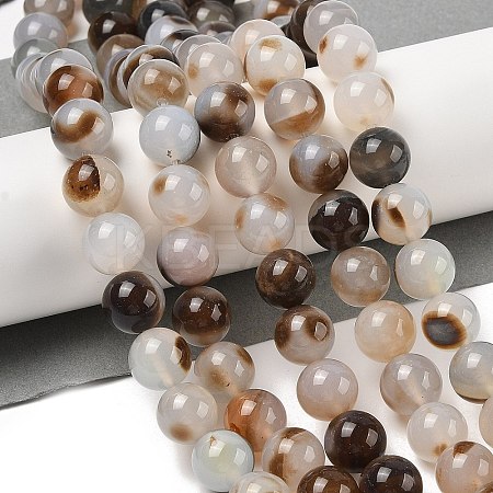 Natural Dendritic Agate Beads Strands G-A248-A07-03-1