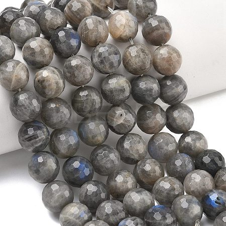 Natural Labradorite Beads Strands G-L642-F07-12mm-1
