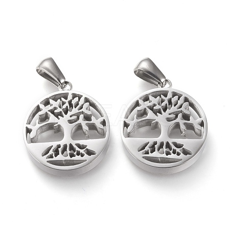 Non-Tarnish 304 Stainless Steel Pendants STAS-F253-14P-1