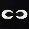 Natural White Shell Connector Charms SSHEL-N034-159-1