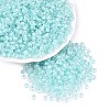 FGB Grade A Transparent Glass Seed Beads SEED-Q040-03A-02-2