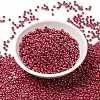 MIYUKI Round Rocailles Beads SEED-G008-RR0425-2