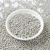 MIYUKI Round Rocailles Beads SEED-G008-RR0181-2