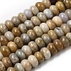 Natural Fossil Coral Beads Strands G-A280-A08-03-2