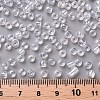 6/0 Glass Seed Beads SEED-A006-4mm-101-3