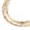 Natural Freshwater Shell Beads Strands X-BSHE-G036-03-3