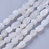 Natural Rainbow Moonstone Beads Strands G-P433-16-2