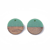 Resin & Walnut Wood Pendants RESI-S358-02C-10-2
