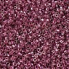 MIYUKI Delica Beads X-SEED-J020-DB0283-3