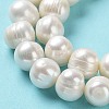 Natural Cultured Freshwater Pearl Beads Strands PEAR-E019-09-4