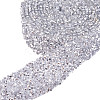 Glitter Resin Hotfix Rhinestone(Hot Melt Adhesive On The Back) OCOR-WH0052-01F-1