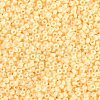 MIYUKI Round Rocailles Beads SEED-G009-RR3325-1
