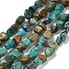 Natural HuBei Turquoise Beads Strands G-P497-01E-19-1