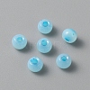 Handmade Lampwork Beads LAMP-TAC0001-05C-1