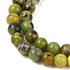 Natural Serpentine Beads Strands G-G829-06-6mm-4