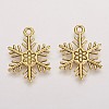 Tibetan Style Alloy Pendants LS-TIBEP-3264-AG-NR-2
