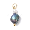 Natural Freshwater Pearl Potato & Shell Pearl Round Bead Pendants PALLOY-JF04714-01-2