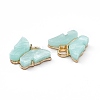 Acrylic Charms MACR-C012-01KCG-01-3