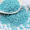 Baking Paint Glass Seed Beads X-SEED-S042-15B-34-1