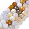 Natural Blue Chalcedony Beads Strands G-NH0021-A11-01-1