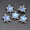 Tortoise Platinum Plated Brass Opalite Pendants G-F228-19C-RS-1