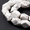 Natural Howlite Beads Strands G-L235A-14-5