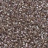 MIYUKI Delica Beads SEED-JP0008-DB2395-1
