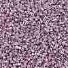 Cylinder Seed Beads SEED-H001-D05-3