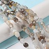 Natural Botswana Agate Beads Strands G-D081-A03-2